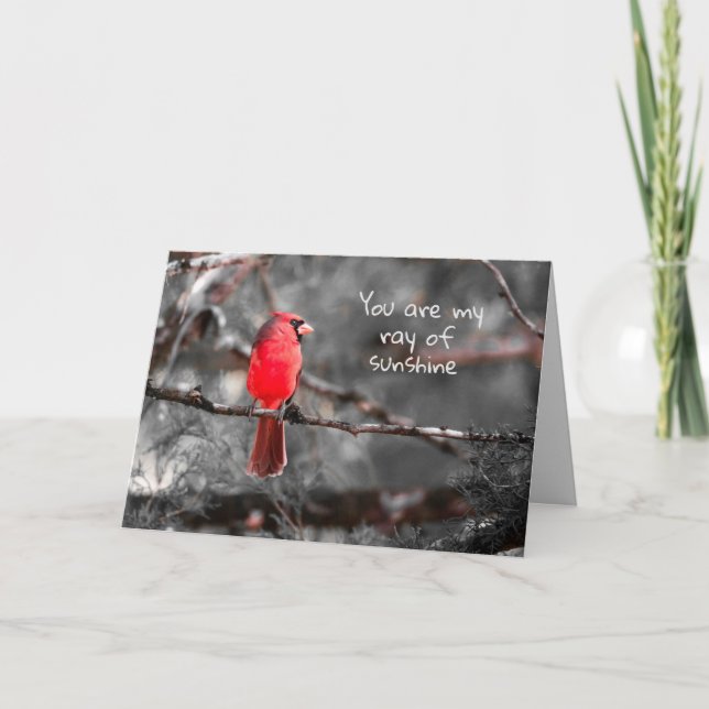 Modern Red Cardinal in Tree with Quote Card (Front)