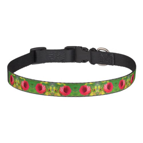 Modern Red Hibiscus with Golden Green Foliage Pet Collar