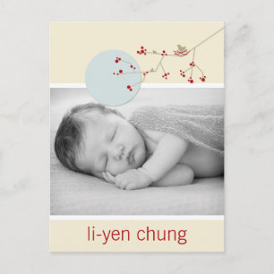 Modern Red Nesting Bird Family Simple Photo Birth Announcement Postcard