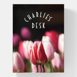 Modern Red, white and Pink Tulips Paperweight
