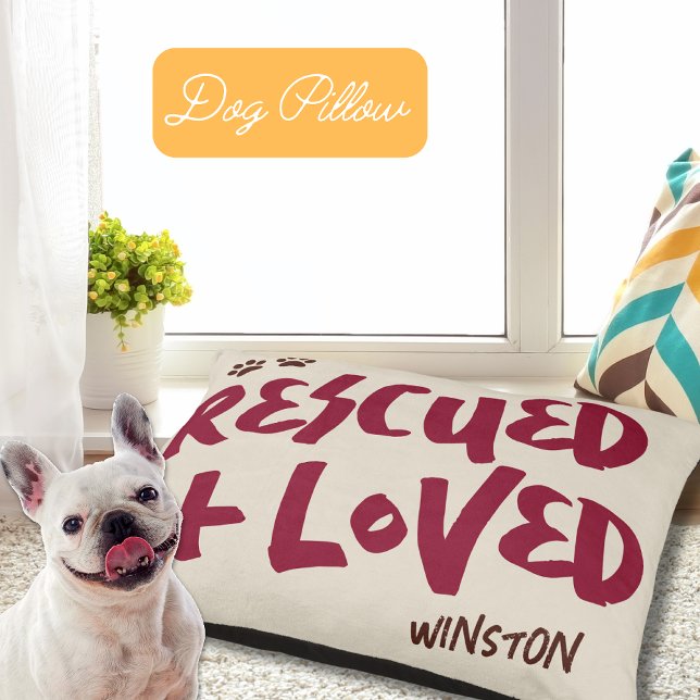 Modern Rescue Dog or Cat Small Pet Bed (Creator Uploaded)