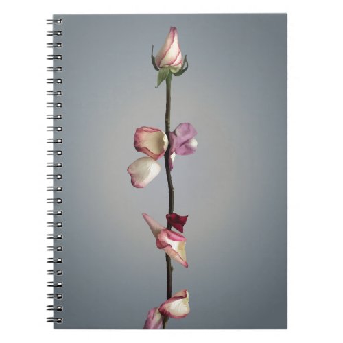 Modern Rose Beauty and the beast sentiment  Notebook