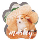 Modern Rustic Simple Custom Pet Photo