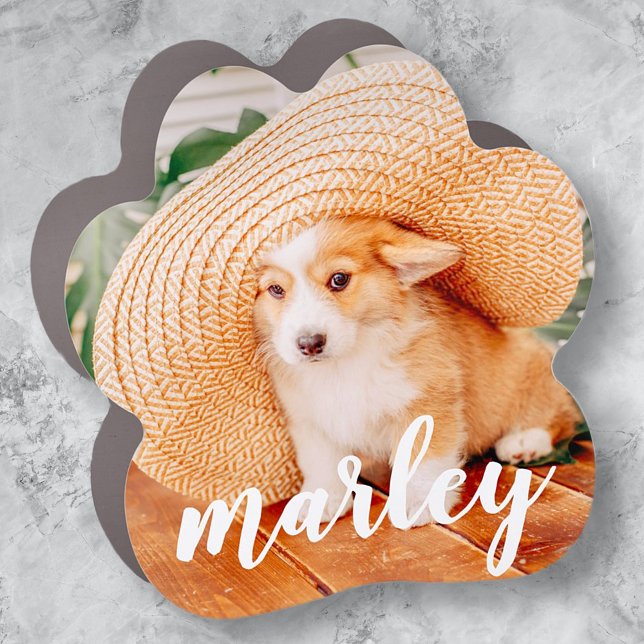 Modern Rustic Simple Custom Pet Photo Car Magnet (Creator Uploaded)