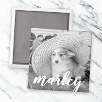 Modern Rustic Simple Custom Pet Photo Magnet