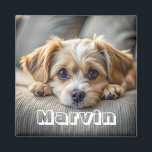 Modern Rustic Simple Custom Pet Photo Magnet<br><div class="desc">Showcase your beloved furry friend with this adorable personalized pet photo magnet. Simply upload your favorite photo of your pet, and we'll create a charming magnet you can display on your fridge, locker, or any magnetic surface. You can even add your pet's name for an extra personal touch. It's a...</div>