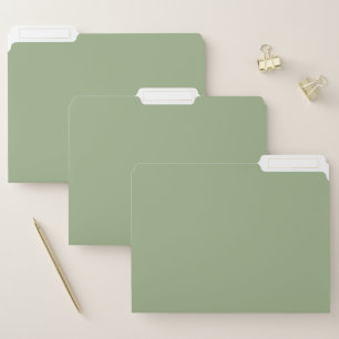 Modern Sage Green Plain Solid Color File Folder