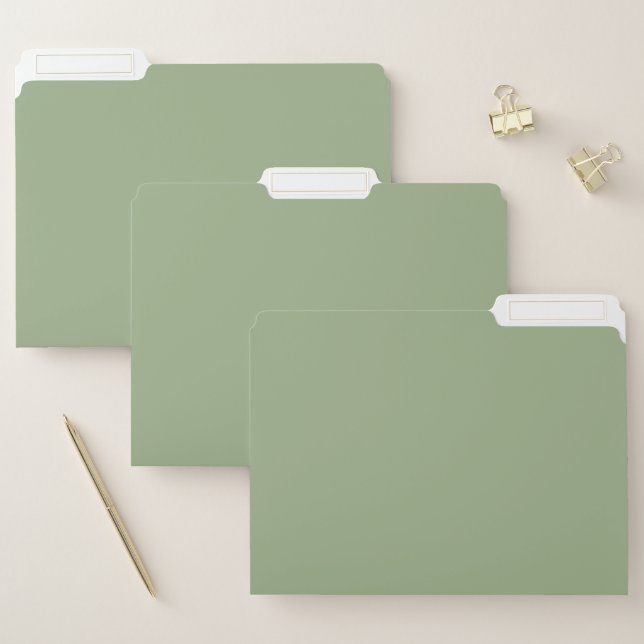 Modern Sage Green Plain Solid Color File Folder (Set)