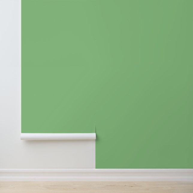 Modern sage green plain solid color simple elegant wallpaper  (Application)