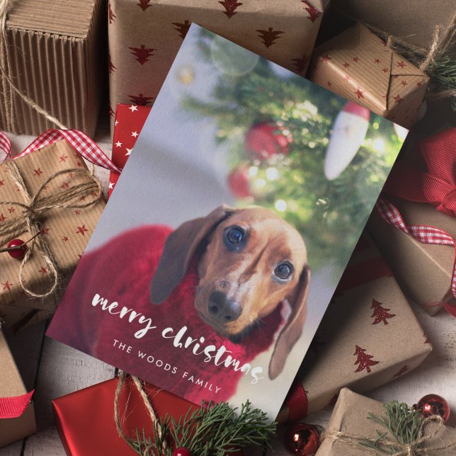 Modern Script Merry Christmas Photo Holiday Card (Creator Uploaded)