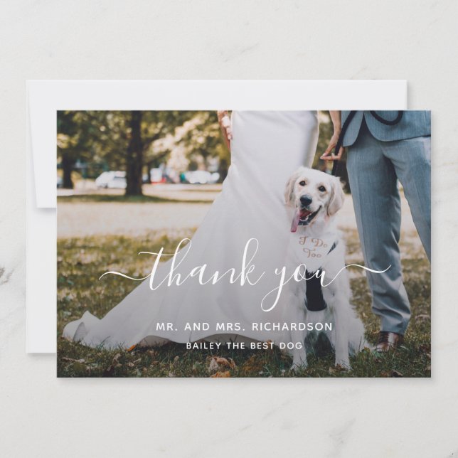 Modern Script Personalized Pet Wedding Photo Thank You Card (Front)