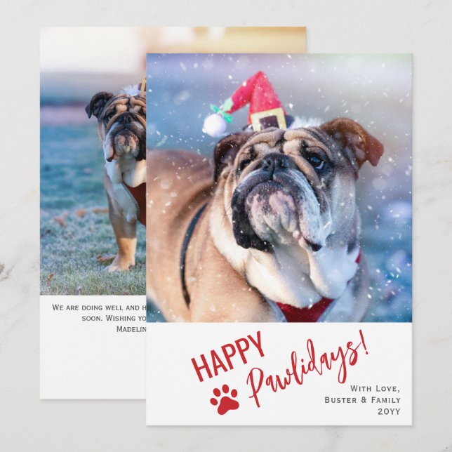 Modern Script Photo Pet Happy Pawlidays Holiday Card (Front/Back)