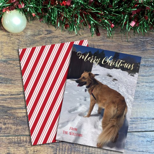 Modern script Single Dog Photo Foil Christmas Card