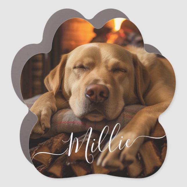 Modern Script Text Custom Pet Photo Car Magnet (Front)