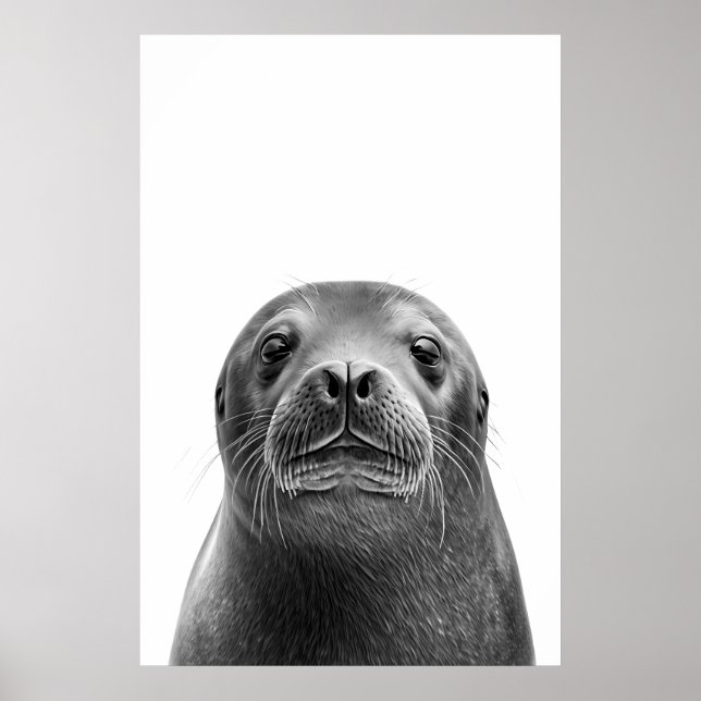 Modern Sea lion Portrait black white  Poster (Front)