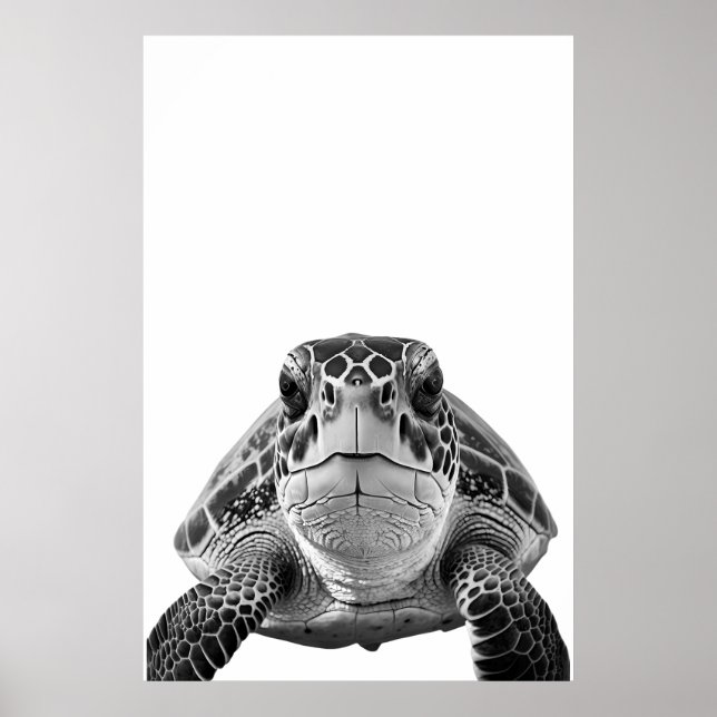 Modern Sea Turtle Portrait black white   Poster (Front)