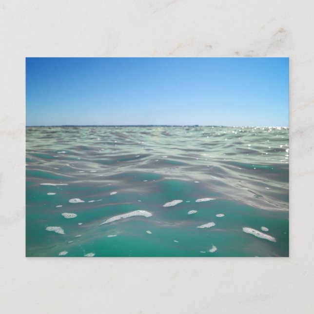 Modern Sea View Flat Postcard (Front)