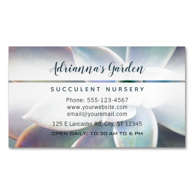 Modern Simple Botanical Succulent Nursery Photo Business Card Magnet (Front)