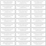 Modern Simple Chic Wedding Guest Names Address Sticker<br><div class="desc">Composed of simple sans serif and modern serif typography. These elements are simple,  elegant,  and modern. This has 30 stickers. 
 
 This is designed by White Paper Birch Co. exclusive for Zazzle.
 
 Available here:
 http://www.zazzle.com/store/whitepaperbirch</div>