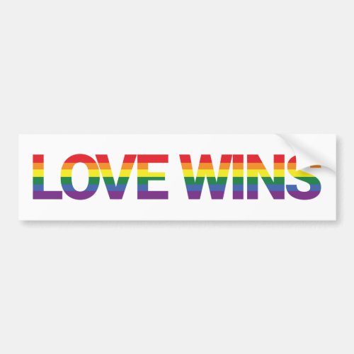 Modern simple colorful vibrant design Love Wins Bumper Sticker