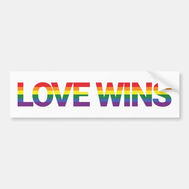 Modern, simple, colorful, vibrant design Love Wins Bumper Sticker (Front)
