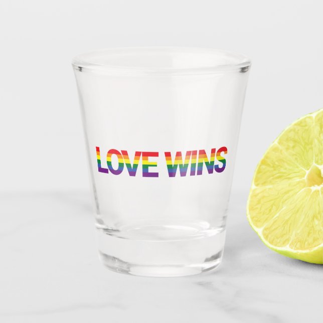 Modern, simple, colorful, vibrant design Love Wins Shot Glass (Front)