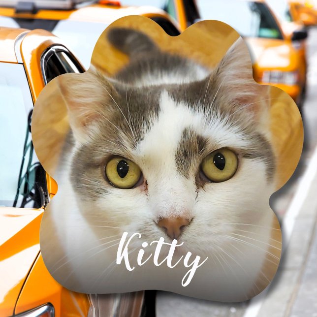 Modern Simple Custom Photo Name Personalized Car Magnet (Creator Uploaded)