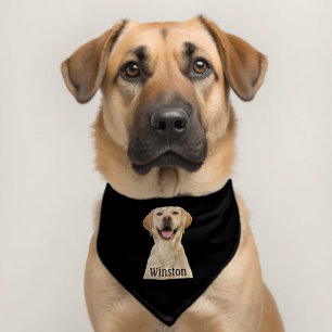 Modern Simple Custom Photo Name Personalized Pet Bandana Collar