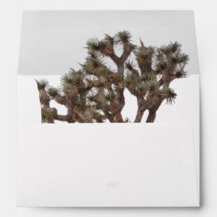 Modern Simple Elegant Color Joshua tree Silhouette Envelope