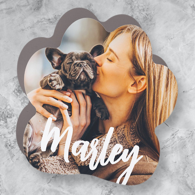 Modern Simple Fun Custom Pet Photo Keepsake Car Magnet