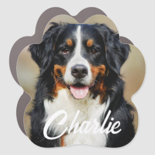 Modern Simple Fun Custom Pet Photo Keepsake Car Magnet