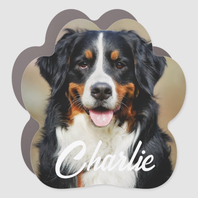 Modern Simple Fun Custom Pet Photo Keepsake Car Magnet (Front)