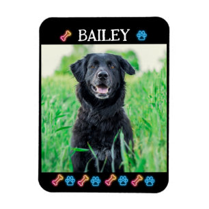 Modern Simple Pet Name and Photo  Magnet