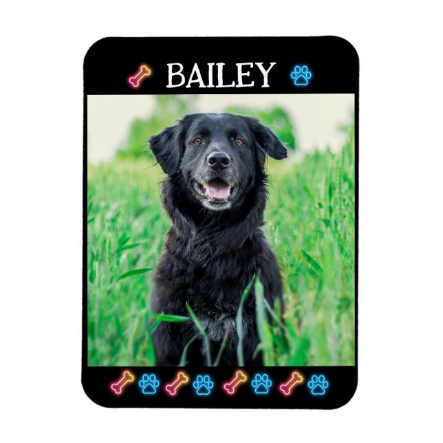 Modern Simple Pet Name and Photo  Magnet (Vertical)
