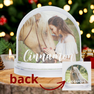 Modern Simple Pet Photo Horse Lover Name Snow Globe