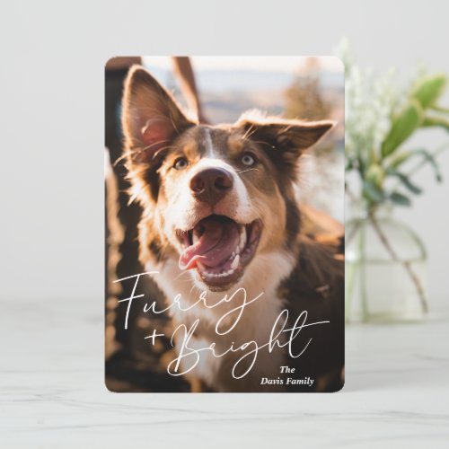 Modern Simple Photo Cute Dog Christmas Holiday Card