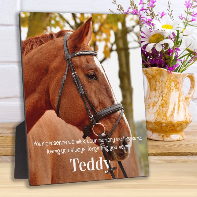 Modern Simple Photo Sympathy Remember Memorial Plaque (Creator Uploaded)