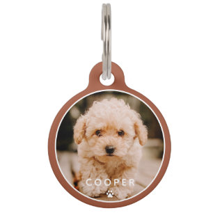 Modern Simple Playful Elegant Chic Paw Pet Photo Pet ID Tag