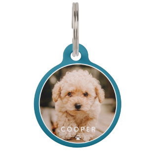 Modern Simple Playful Elegant Chic Paw Pet Photo Pet ID Tag