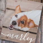 Modern Simple Playful Elegant Chic Pet Photo Fleece Blanket<br><div class="desc">This simple and classic design is composed of serif typography and add a custom photo of your pet.</div>