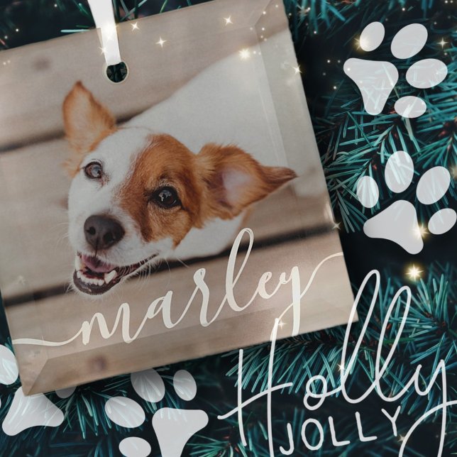 Modern Simple Playful Elegant Chic Pet Photo Glass Ornament (Creator Uploaded)