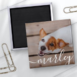 Modern Simple Playful Elegant Chic Pet Photo Magnet<br><div class="desc">This simple and classic design is composed of serif typography and add a custom photo of your pet.</div>