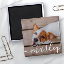 Modern Simple Playful Elegant Chic Pet Photo Magnet