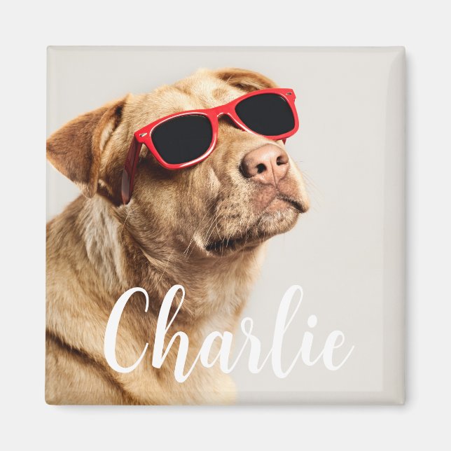 Modern Simple Playful Elegant Chic Pet Photo  Magnet (Front)