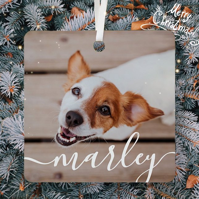 Modern Simple Playful Elegant Chic Pet Photo Metal Ornament (Creator Uploaded)