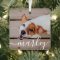 Modern Simple Playful Elegant Chic Pet Photo
