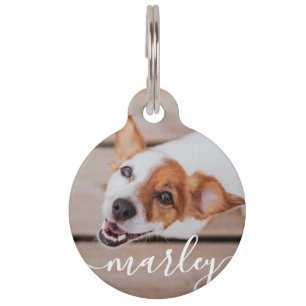 Modern Simple Playful Elegant Chic Pet Photo Pet ID Tag