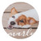 Modern Simple Playful Elegant Chic Pet Photo