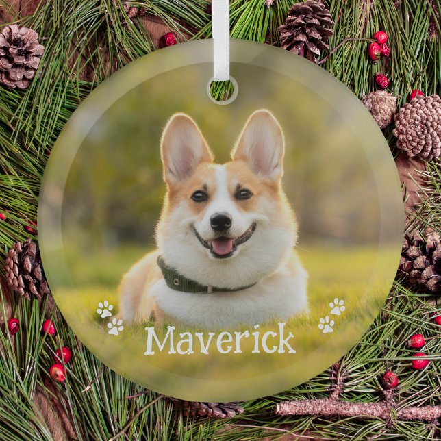 Modern Simple Stylish Personalized Pet Dog Photo Glass Ornament (Creator Uploaded)