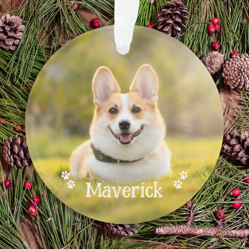Modern Simple Stylish Personalized Pet Dog Photo Ornament